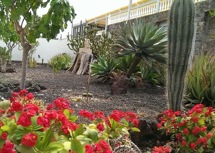 Apartamento Drago 公寓 *