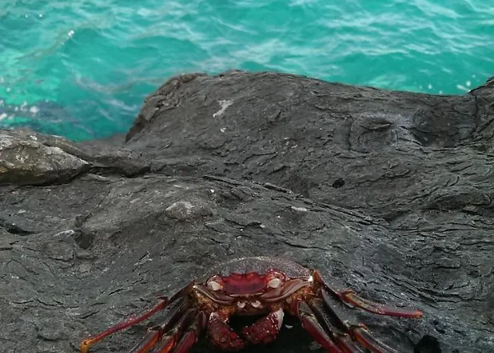 公寓 Apartamento Drago *