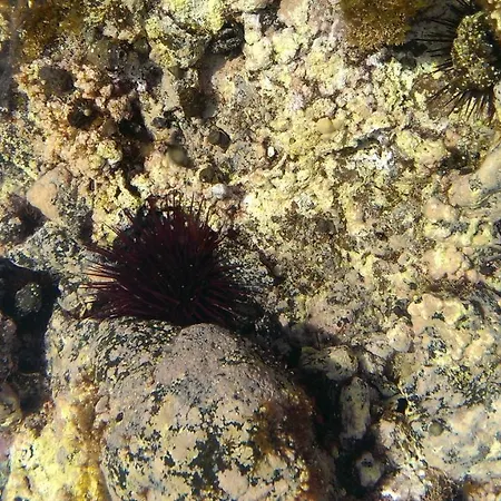 Apartamento Apartamento Drago *